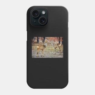 Roe deer family Phone Case