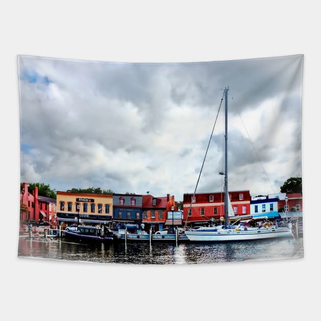 Annapolis MD - City Dock Tapestry by SusanSavad