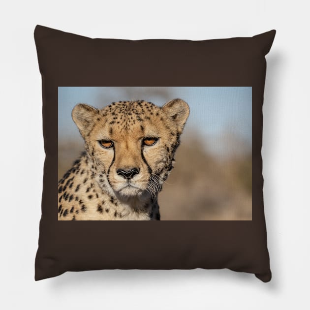 Cheetah. Pillow by sma1050