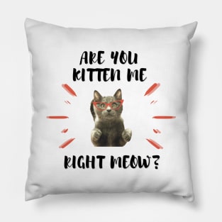 Are you Kitten Me Right Neow Pillow