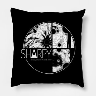 Sharpy Crackle Pillow