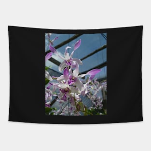 Orchids Tapestry