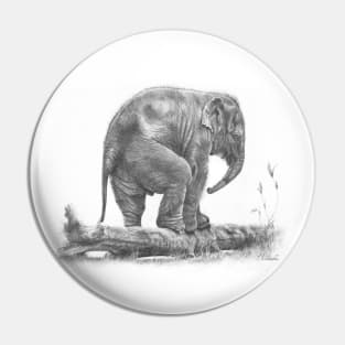 The Little Big Man - Elephant calf pencil drawing Pin