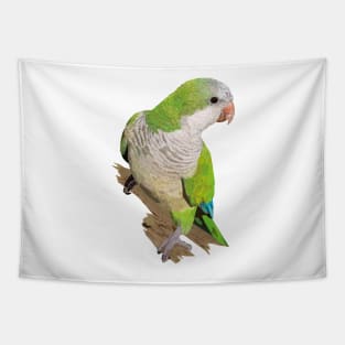 Argentine Parakeet Tapestry