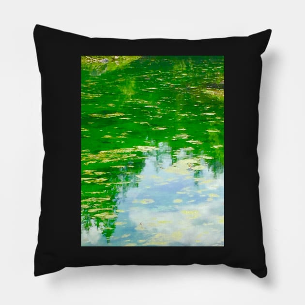 Lake with Algae Pillow by ephotocard