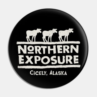 Northern Exposure Logo Pin