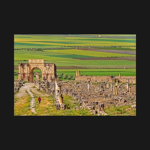 Triumphal Arch & Town, Volubilis by bulljup