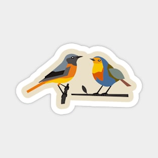 Bird Magnet