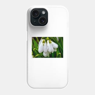 Snowdrops 1 Phone Case