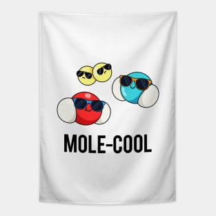 Molecool Cute Molecule Science Pun Tapestry