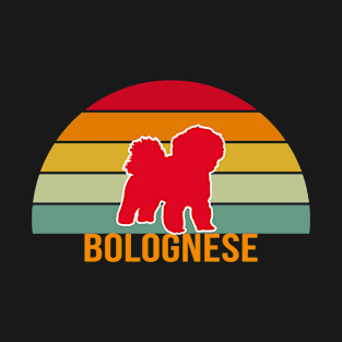 Bolognese Vintage Silhouette T-Shirt