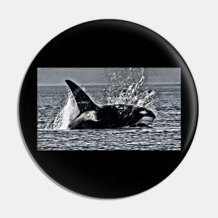 Killer Whale Pin