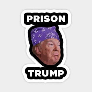 Prison Trump Magnet