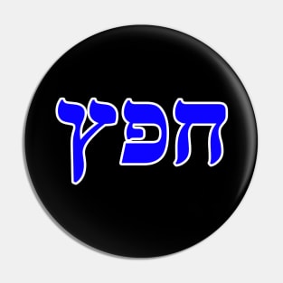 Hebrew Word for Delight - Genesis 34-19 Pin