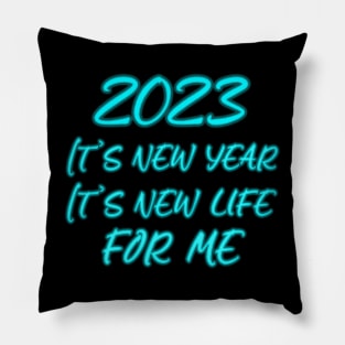 2023 Pillow