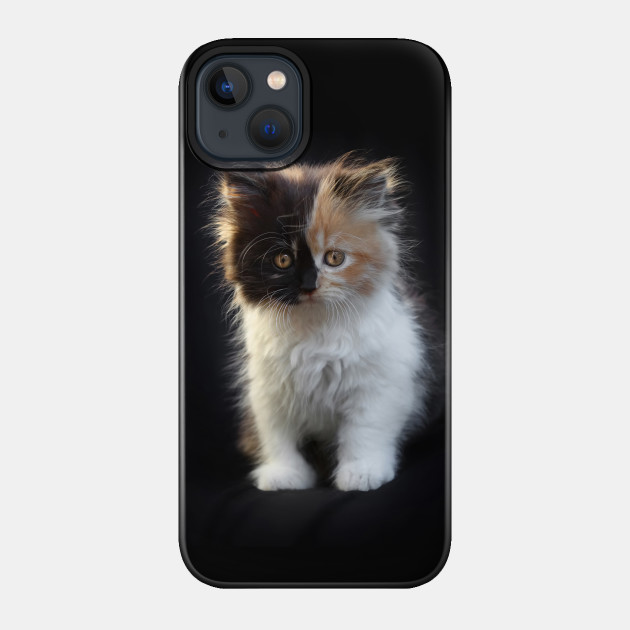 You can tell me you've met cuter than me, but I don't know if I'll believe you... - Kitten - Phone Case