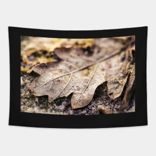 Brown Autumn Oak Leaf Tapestry