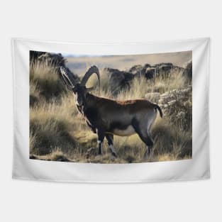 Mountain goat-goat on mountain Tapestry