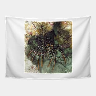 Caribbean Spotted Lobster at night Tapestry