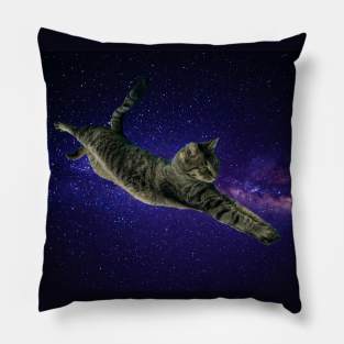 Space Cat Pillow