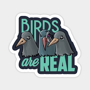 Birds Are Real - Teal Magnet