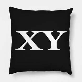 XY Chromosomes Pillow