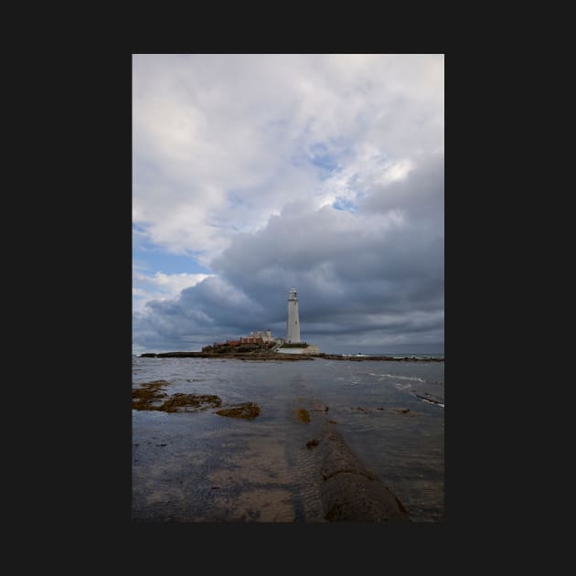 St Mary's Island reflections - Portrait by Violaman