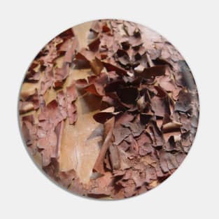 Peeling Bark Pin