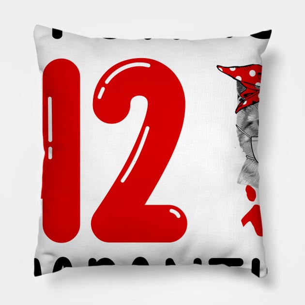 I Turned 42 In Quarantine Funny Cat Facemask Pillow by David Darry
