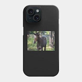 TB COLT Phone Case