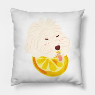 Maltipoo Drinking Orange Juice Pillow