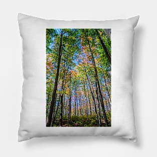 Autumn is Coming in the Forest. Pillow