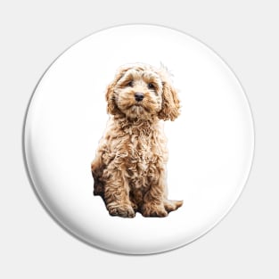 Cockapoo Cavoodle Labradoodle Cute Puppy Dog- Poodle x Pin