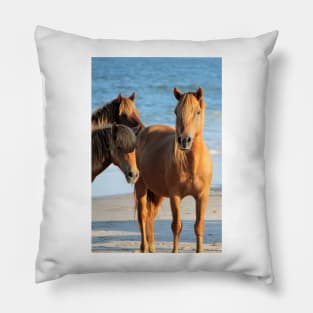 Assateague Beach Ponies Series - 01 Pillow