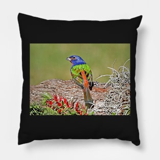 Painted Bunting Bird Photograph Notecard Pillow