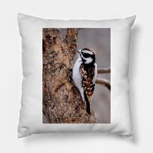 Cinnamon coloured Downy woodpecker Pillow