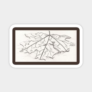 Leaf Lines Magnet