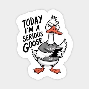 Today I'm A Serious Goose Magnet