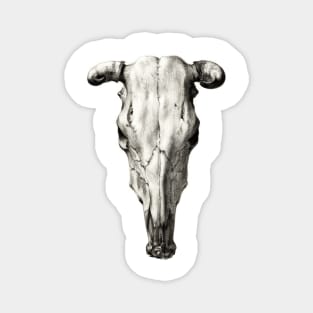 Skeleton skull of a cow Magnet