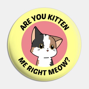 Are You Kitten Me Right Meow - Cute Cat Pun Pin