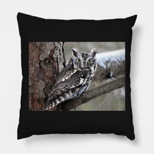 Screech Owl Pillow