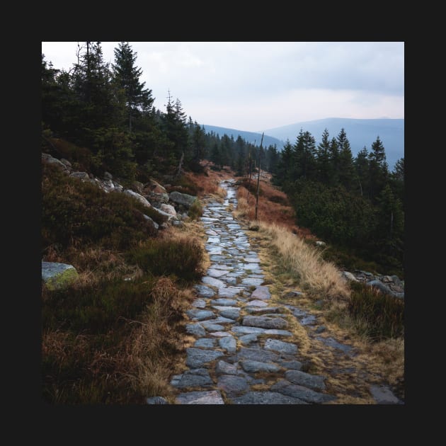 Path Through the Misty Mountains in Czech by Danny Wanders