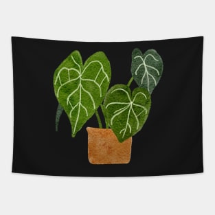 Anthurium Clarinervium Plant Tapestry