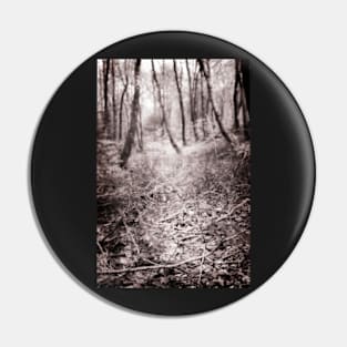 Off the path through the leaves Pin