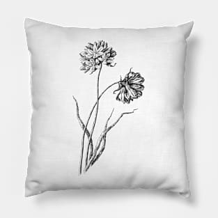 Wildflower Black and White Botanical Illustration Pillow