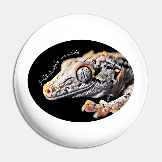 Gargoyle gecko with scientific name Pin by austinmg