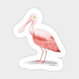 Roseate Spoonbill Bird Magnet