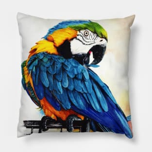 Jinx - Blue Gold Macaw painting Pillow