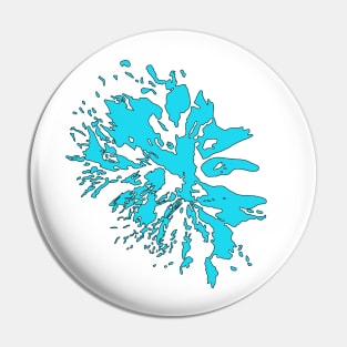 Mount Adams Glaciers Pin