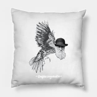 Darwin Finch Pillow